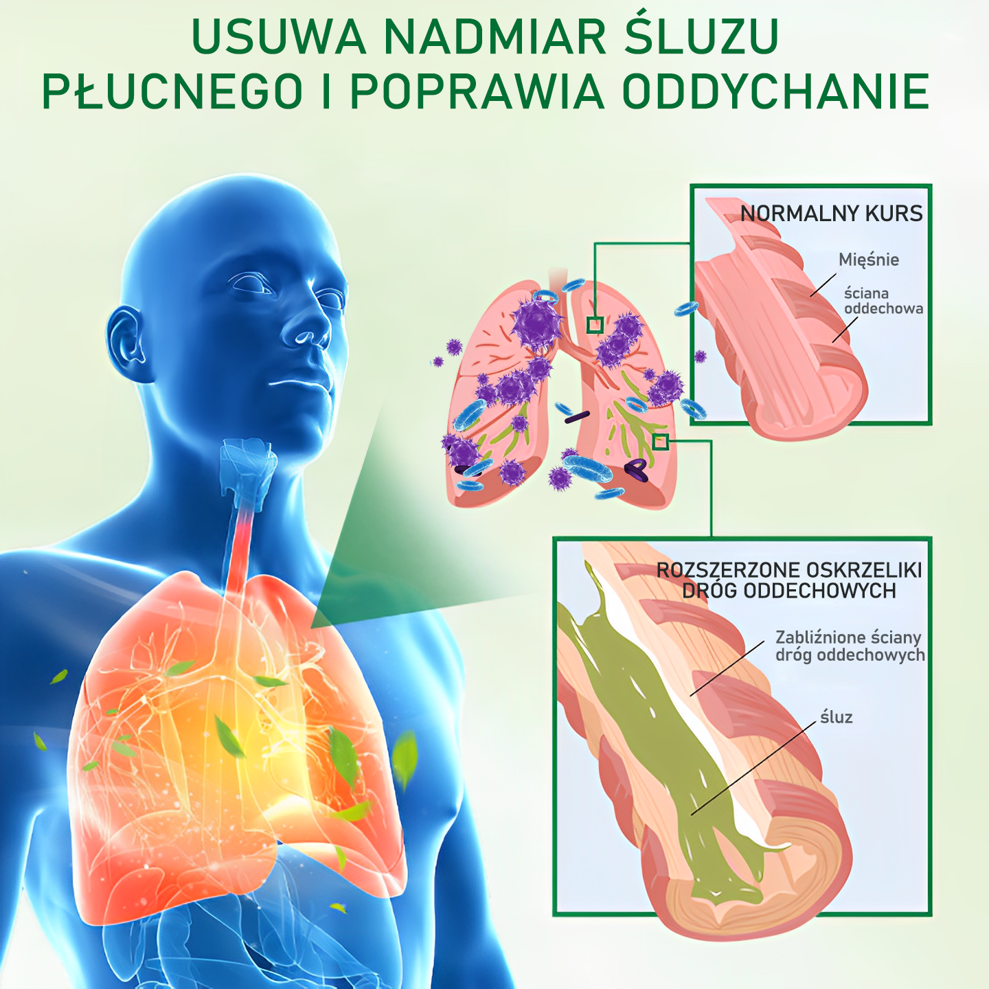 🌿🌿[Oficjalny Sklep Marki]𝐆𝐨𝐨𝐲𝐞𝐞𝐫™ Zaawansowany spray do oczyszczania płuc- ☘️Zdrowie płuc - wsparcie immunologiczne, detoksykacja i wsparcie oddechowe - wyprodukowane w Polsce